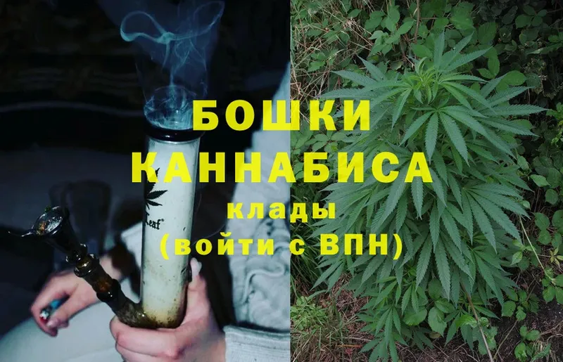 где продают наркотики  Шагонар  Шишки марихуана SATIVA & INDICA 